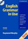 English-grammar-in-use1